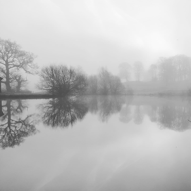&#039;Reflections&#039;