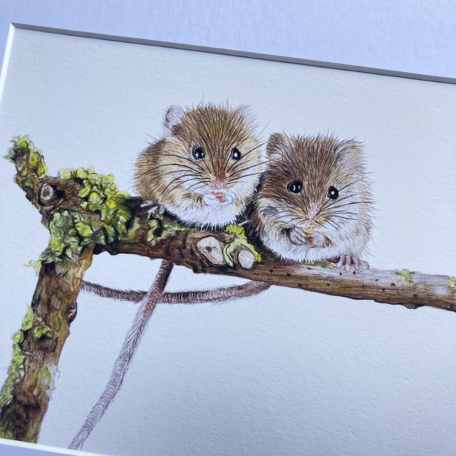 Field Mice Fine Art Print