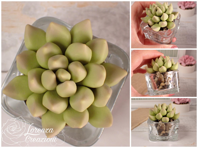 Pianta grassa verde, succulenta, artigianale modellata a mano in argilla polimerica (fimo). Made in Italy.