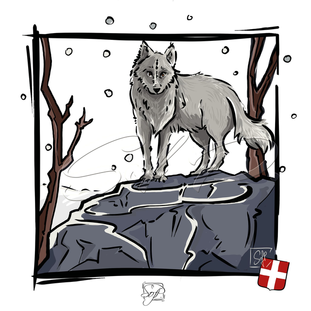 ANIMAUX D'ICI - Le loup
