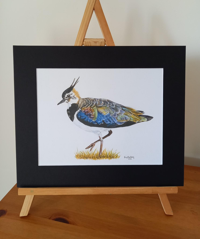 Lapwing Print