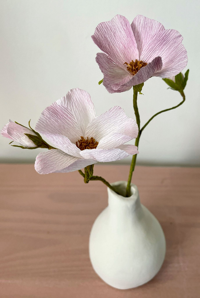 Eglantine "Eléor" avec son vase artisanal offert