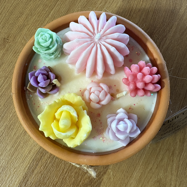 Cactus Vanilla ice cream - 254gr