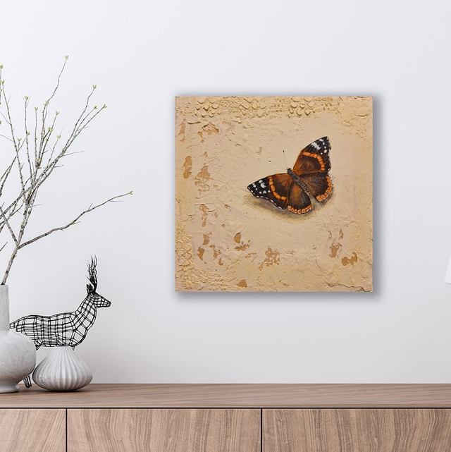 Farfalla Vanessa atalanta