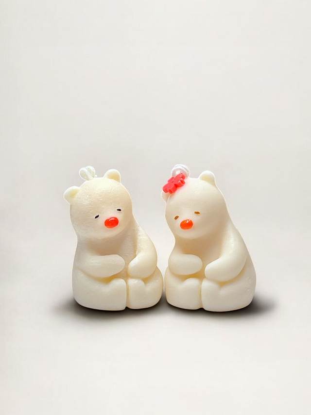 Koselige Bjørner 🐻🐻‍❄️