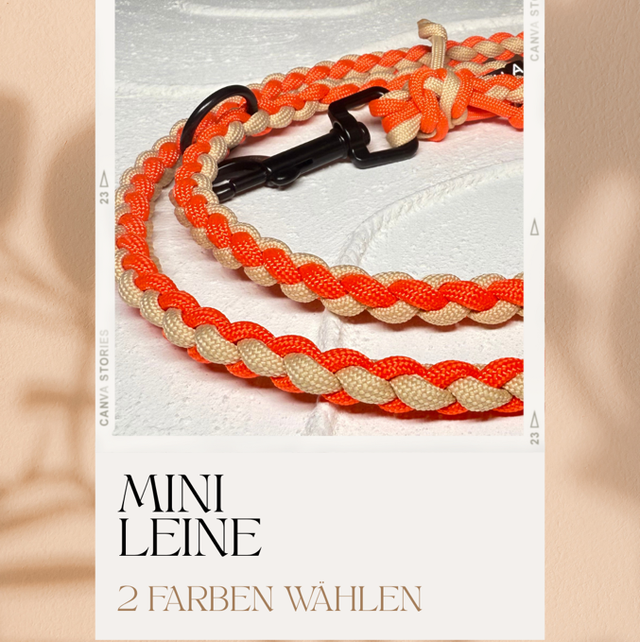 1 | Mini - Create your own Leine
