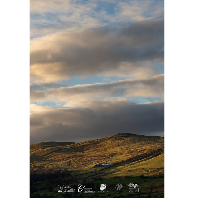 Evening Hillside