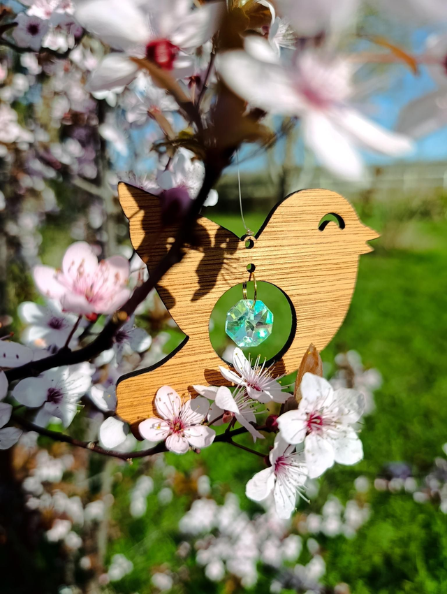 Attrape lumière oiseau petit