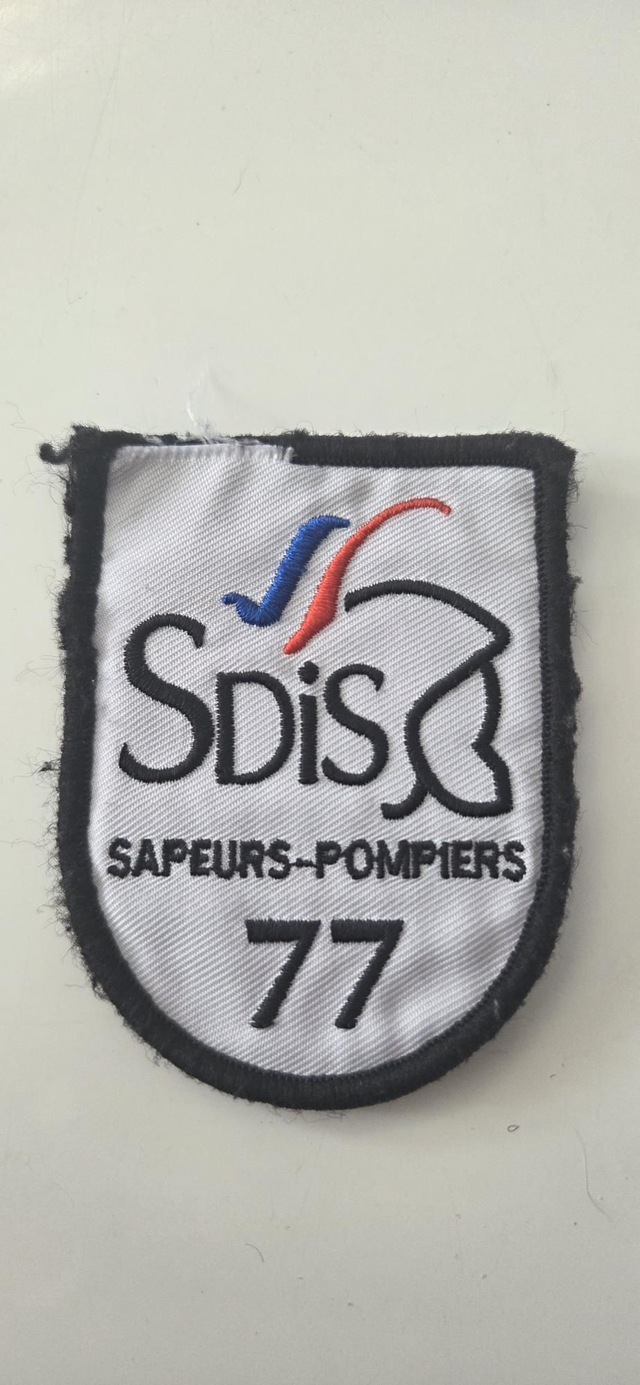 SDIS 77 occasion 