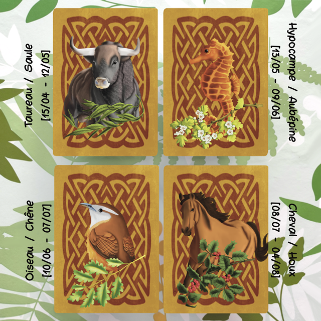 Zodiaque Celtique - Affiche