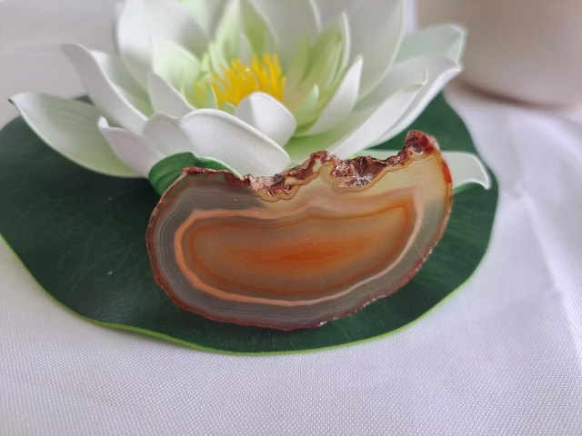 Petite tranche d'agate 