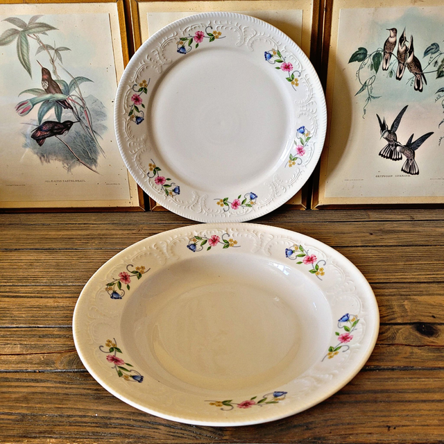X Plats ronds (dont un creux) Tognana porcelaine Italie, fleurs
