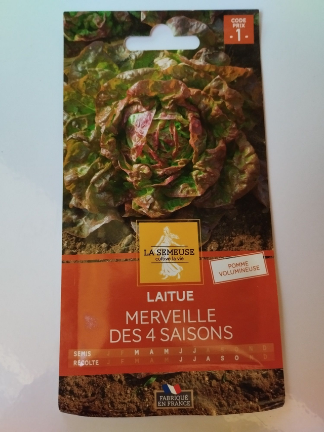 Laitue merveille des saisons