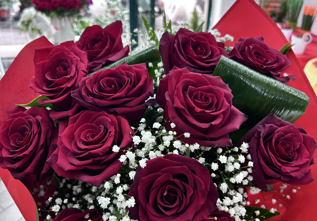 11 rose rosse olandesi 