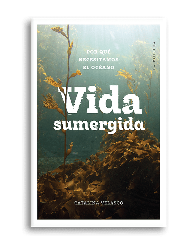 Vida sumergida: Por qué necesitamos el océano - Catalina Velasco