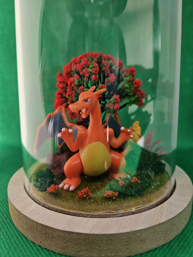 Charizard | Terrarium