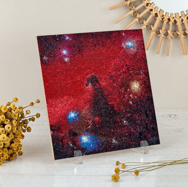 Piastrella "Nebulosa Testa di Cavallo"