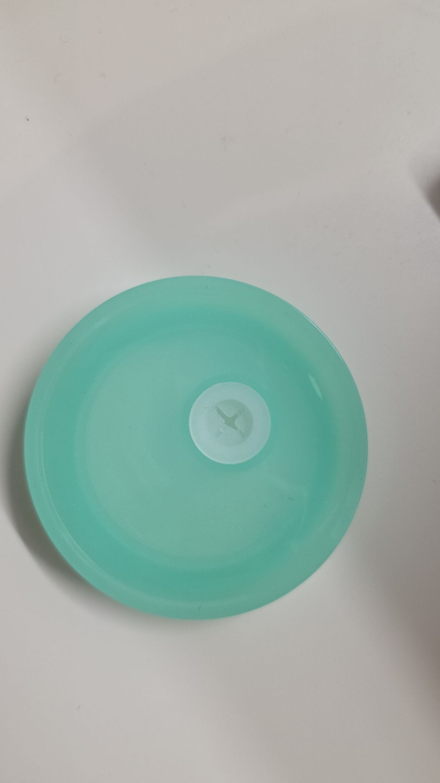 16oz Mint Green Snowglobe (Please add decal before checking out)
