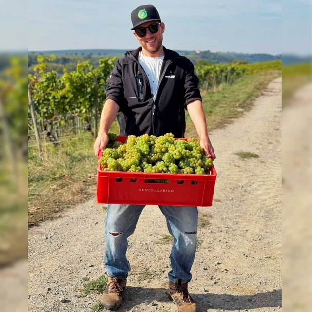 Weinwanderung im gesamten Taubertal | ab 4 Person (Preis p.P.)
