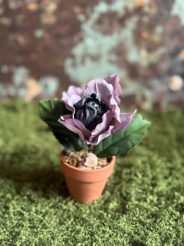 44.🌸 Specimen: The Hushflower