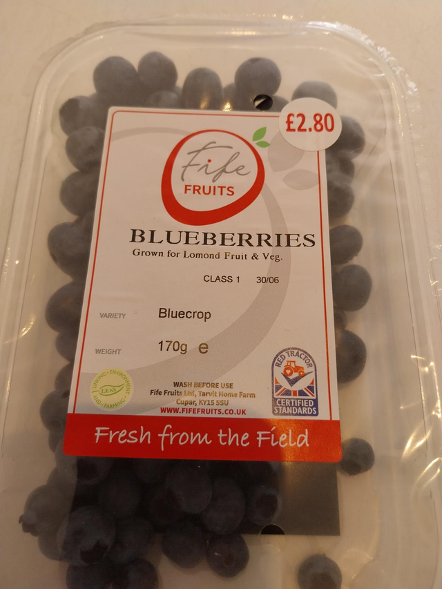 Blueberry (170g)