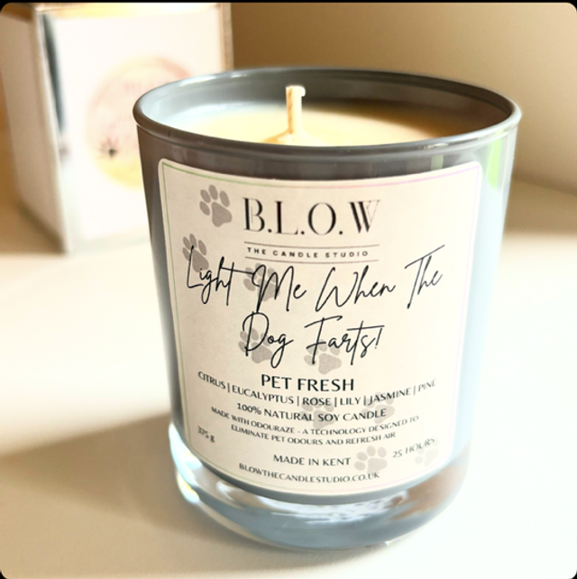 ‘Light Me When The Dog Farts’ Candle