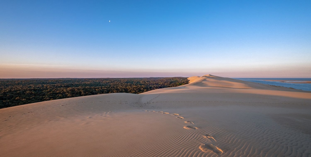 Dune au clair de Lune format panoramique 60X120 sur toile
