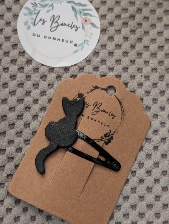 Barrette b023