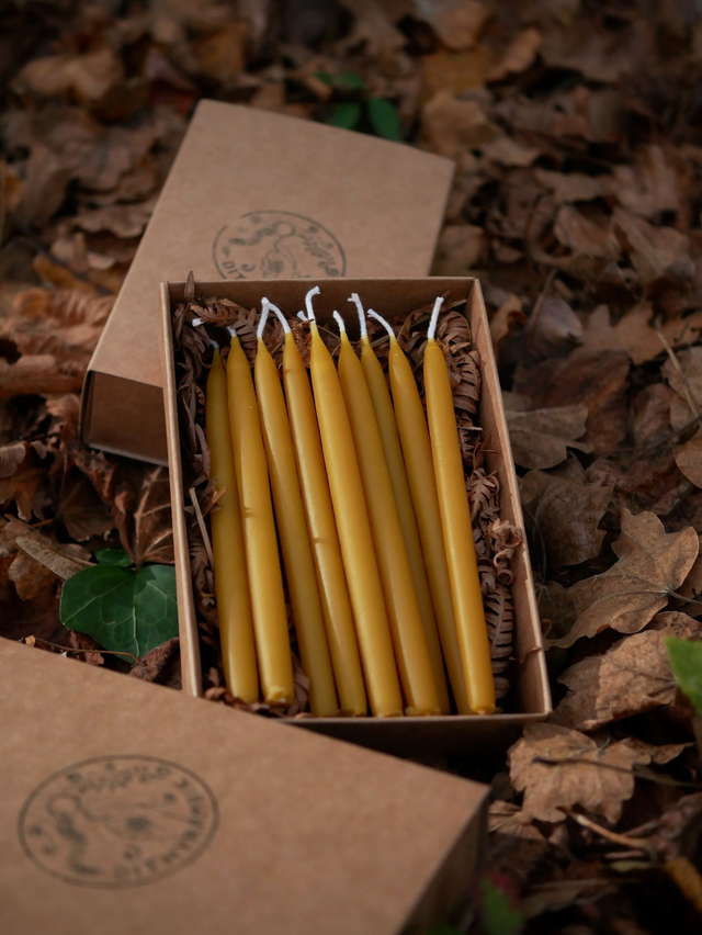 Bougies trempées RITUEL