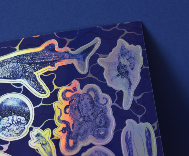 *last chance* Planche de stickers Océan *100% des ventes reversées à Sea Shepherd France*