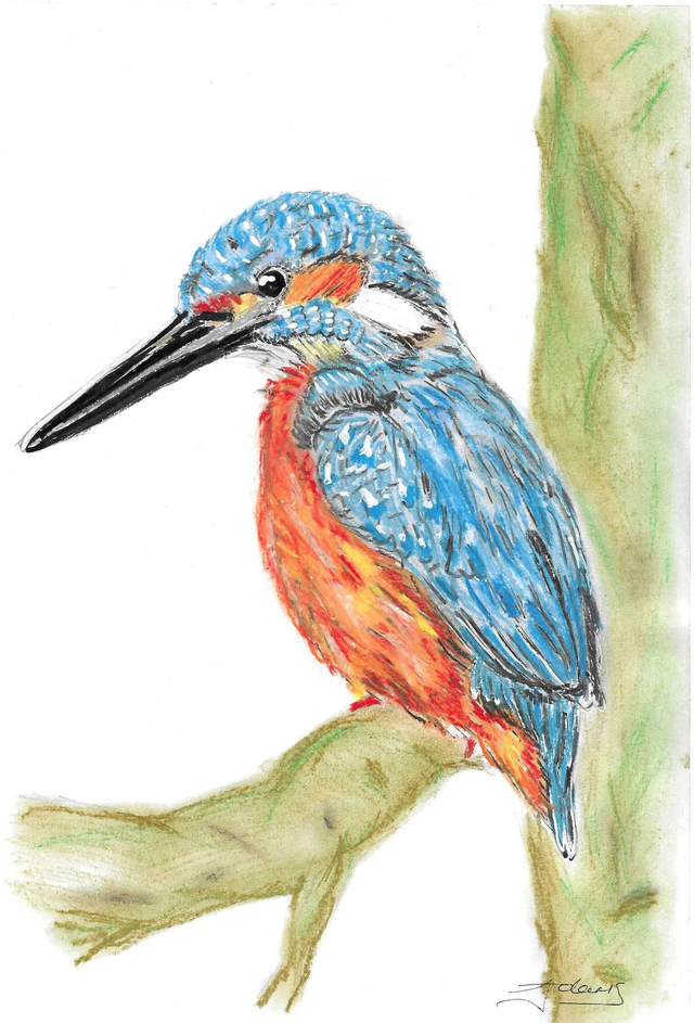 A4 print - The Kingfisher 