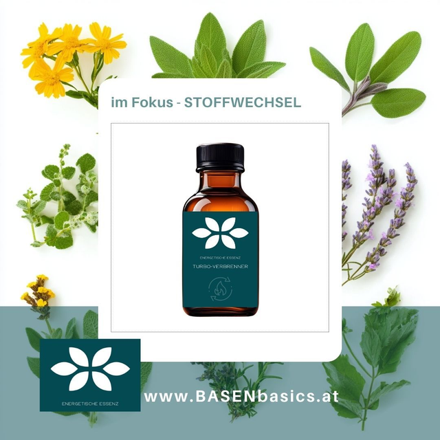 STOFFWECHSEL  energetische Essenz 50ml