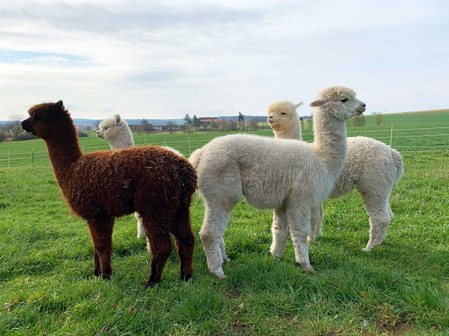 Individueller Betrag