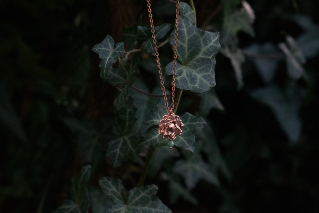 Succulente et émeraude