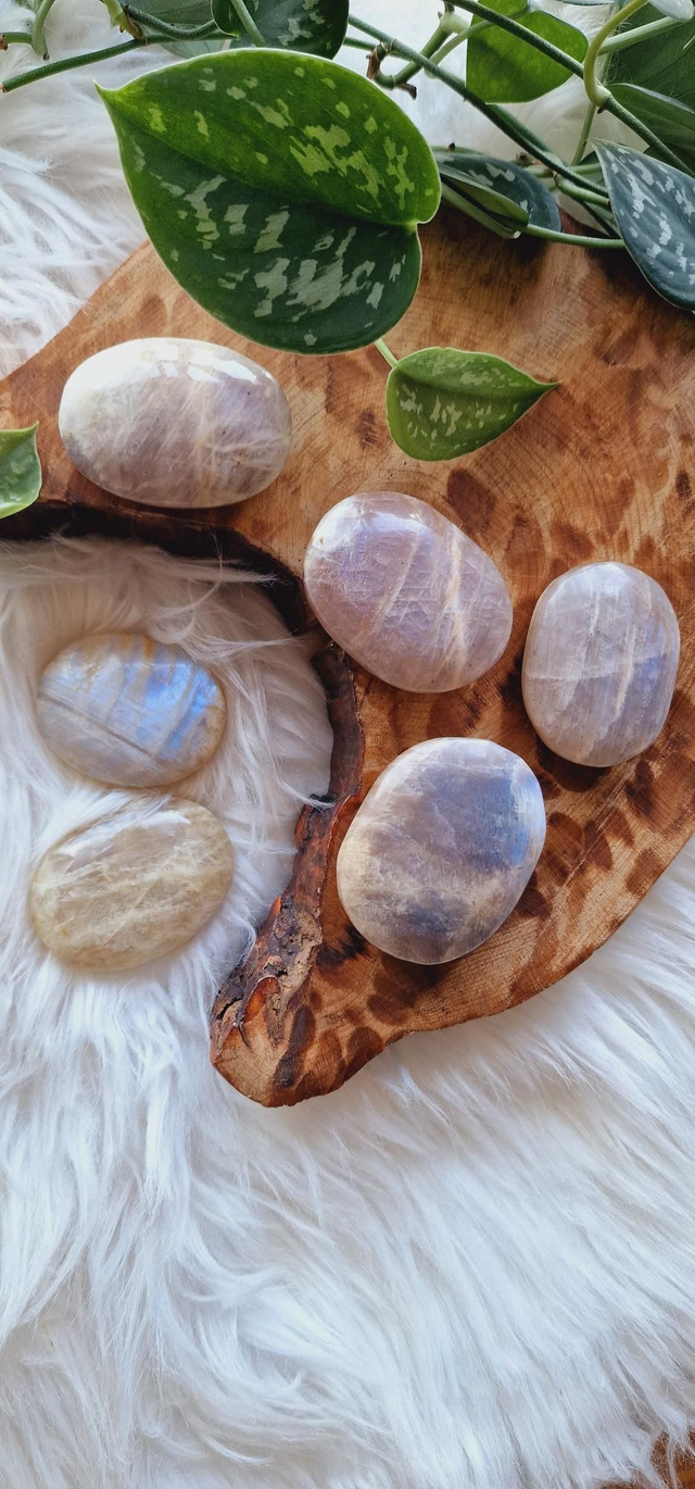 White Moonstone Palm 