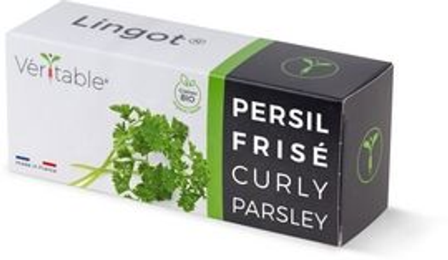 Véritable Lingot Curly Parsley - Organic