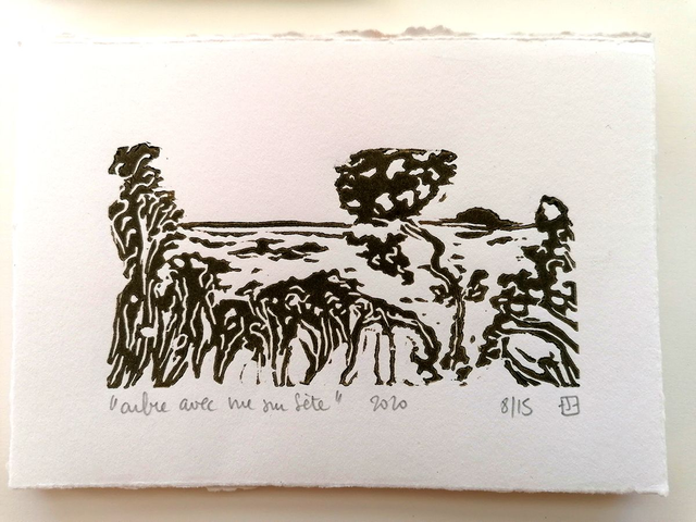 Arbre avec vue sur Sète