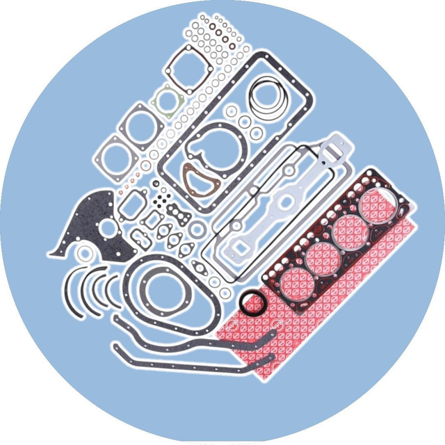 Dichtsatz für den OM314