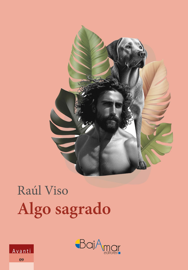 LIBRO ALGO SAGRADO DE RAÚL VISO-BAJAMAR EDITORES-