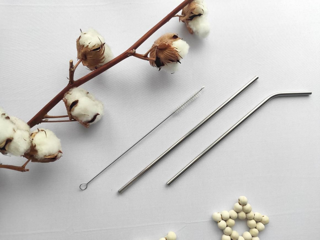  Paille en inox - courte