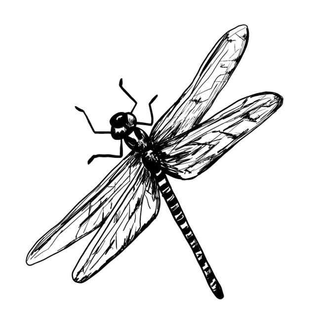 Stempel Libelle Rosa 4x4cm