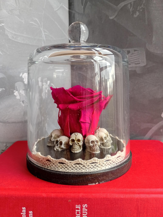 D08 Rose Violette sur crâne