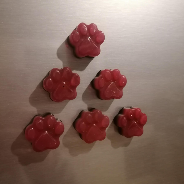 Lot d’aimants décoratifs – Pattes en époxy