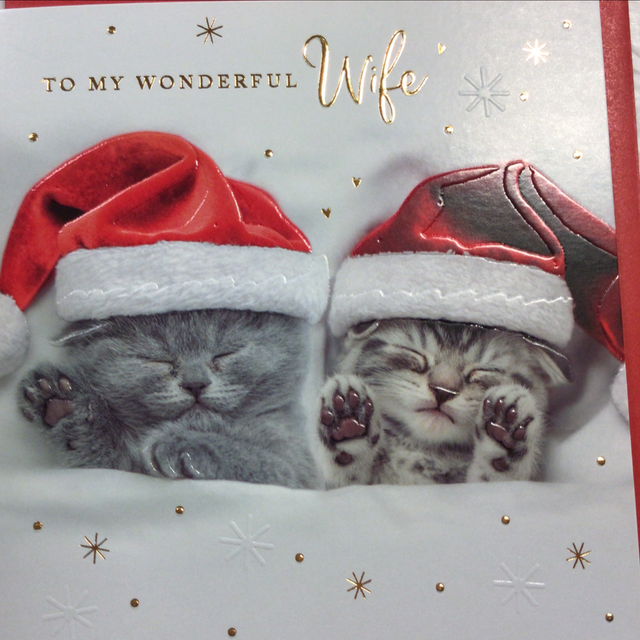 Christmas Wife (Cats) GBCC