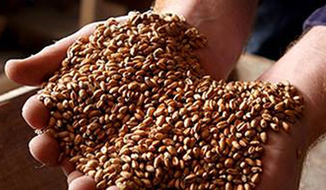 MILLING DEMONSTRATIONS