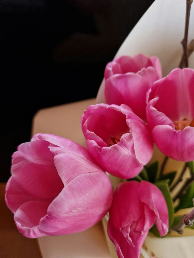 Mother's Day Tulips