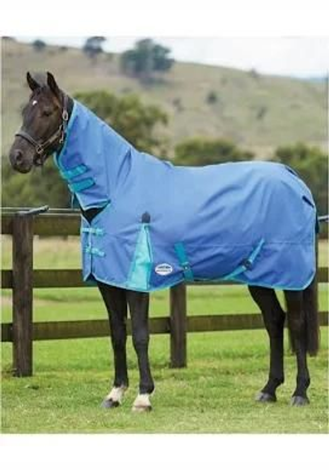 Weatherbeeta ComFiTec Classic Combo Medium/Lite 100g

