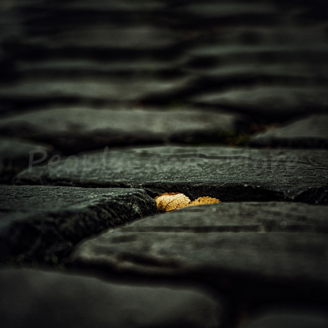 2025-35 Steiniger Weg