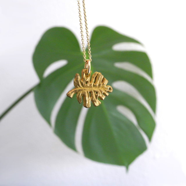 Monstera brass