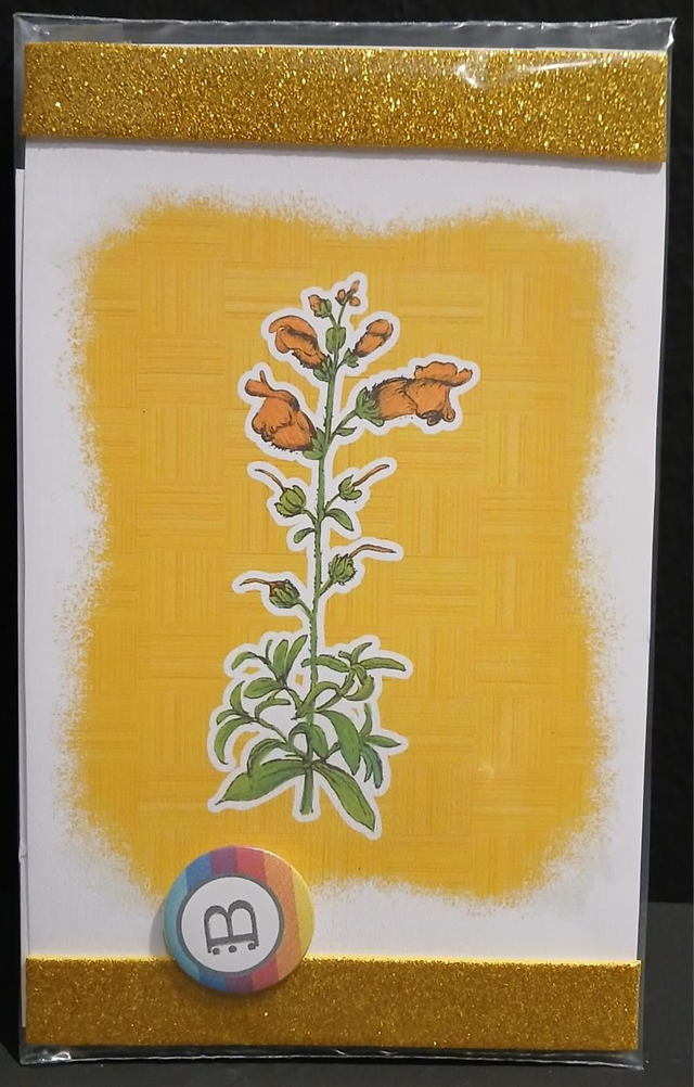 Leggi &amp; Decora - Kit Decorazione - I Fiori di Catia n. 1 - Bocca di Leone